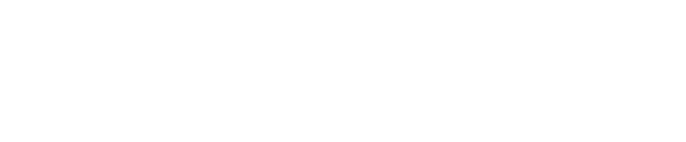 Visplu — Vision Plus